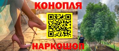 крисы Донецк