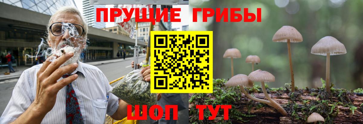 Кувандык  Галлюциногенные грибы мухоморы  Вход с VPN 
